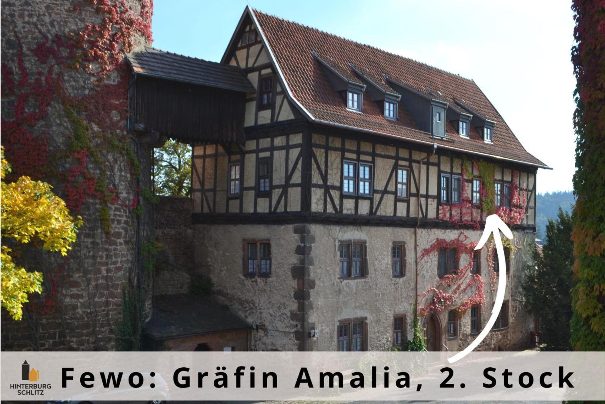 Graefin Amalia - Elegantes Apartment In Der Historischen Hinterburg In Schlitz, 2 Schlafzimmer, Mit Garten, Nahe Fulda Und Bad Hersfeld Extérieur photo